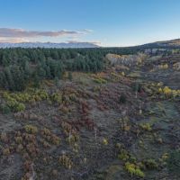 Ponderosa Ridge Ranch images 3