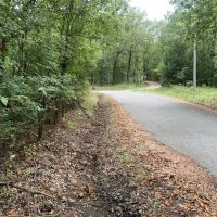 53 - Acres Price Ford Road Cleburne County