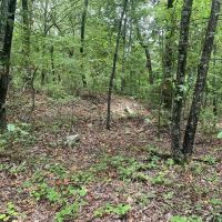 53 - Acres Price Ford Road Cleburne County images 2