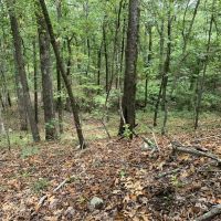 53 - Acres Price Ford Road Cleburne County images 4