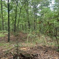53 - Acres Price Ford Road Cleburne County images 5