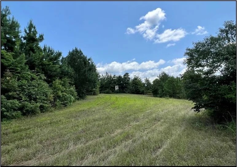 160 Acers in Lauderdale County in Lauderdale MS featured image