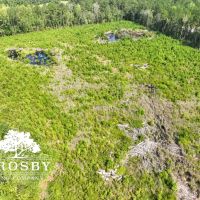 0 Colleton Mill Road images 5