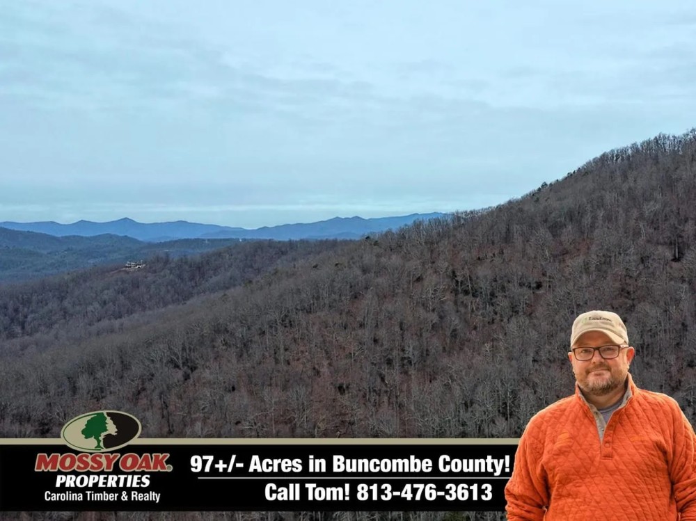 97 - Gorgeous Acres in Black Mountain featured image