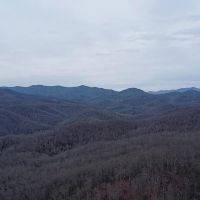 97 - Gorgeous Acres in Black Mountain images 2