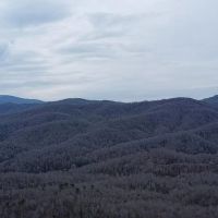 97 - Gorgeous Acres in Black Mountain images 3