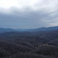97 - Gorgeous Acres in Black Mountain images 4