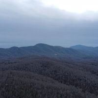 97 - Gorgeous Acres in Black Mountain images 5