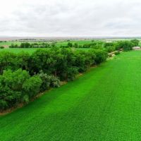 Las Nutrias Farm images 3