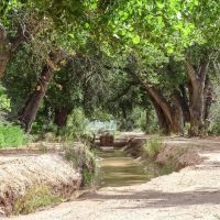 Las Nutrias Farm images 4