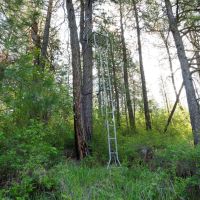 Halverson Canyon Ranch images 3