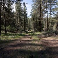 Halverson Canyon Ranch images 4