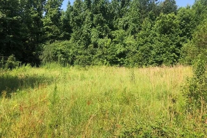 135.17 Acres in Holmes County in Goodman MS featured image