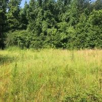 135.17 Acres in Holmes County in Goodman MS
