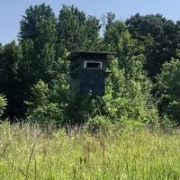 135.17 Acres in Holmes County in Goodman MS images 2