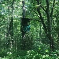 135.17 Acres in Holmes County in Goodman MS images 3