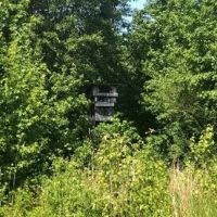 135.17 Acres in Holmes County in Goodman MS images 4
