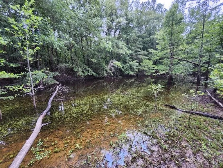 66 Acres in Jefferson Davis in Oak Vale MS Hunting Land for Sale