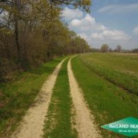 60 ac - Farm Land with Woods images 2