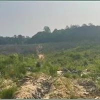 94.8 Acres in Carroll County in Carrollton MS images 3