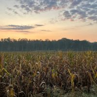 Little Coon Creek Duck Hunting Property