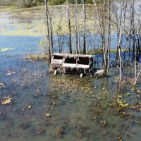 Little Coon Creek Duck Hunting Property images 2