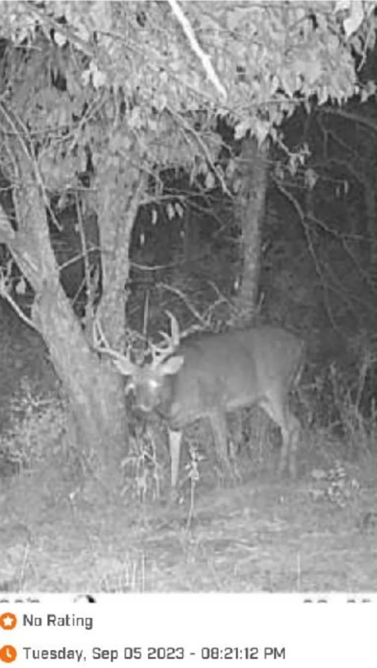 Hunting Pasture Land featured image