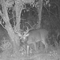 Hunting Pasture Land