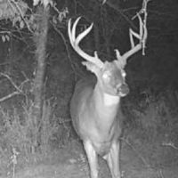 Hunting Pasture Land images 2