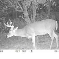 Hunting Pasture Land images 3