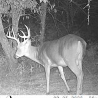 Hunting Pasture Land images 4