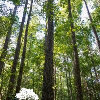 Wittee Branch 3 images 5