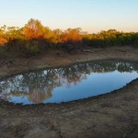 7 Ranch images 4