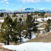 Collard-Blatnick Ranch images 3