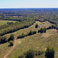 579.85 of Hunting and Farm Land for Sale in Cherokee County SC PROPERTY 2 images 2