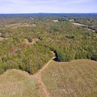 579.85 of Hunting and Farm Land for Sale in Cherokee County SC PROPERTY 2 images 3