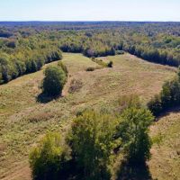 579.85 of Hunting and Farm Land for Sale in Cherokee County SC PROPERTY 2 images 4