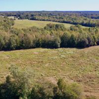 579.85 of Hunting and Farm Land for Sale in Cherokee County SC PROPERTY 2 images 5
