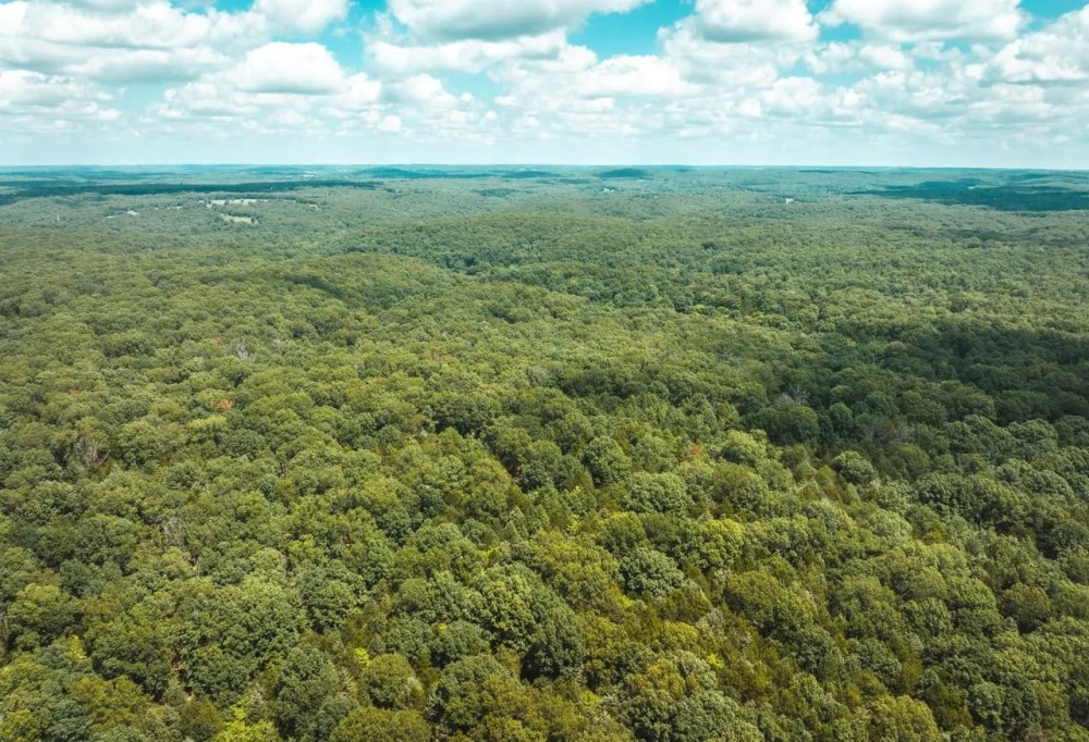 Camp Creek Tract 3 featured image