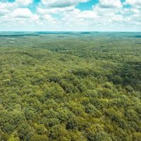 Camp Creek Tract 3