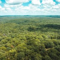 Camp Creek Tract 3 images 4