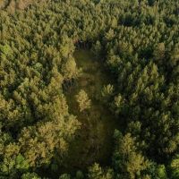 156 Acres for Sale Hunting Land in Pearl River County MS images 4