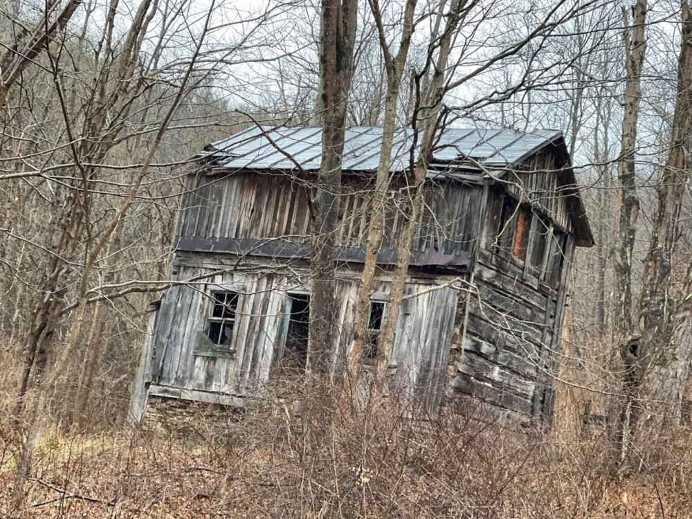 Hunting Land in Monroe County OH featured image