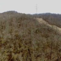 Hunting Land in Monroe County OH images 4