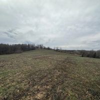 LAND FOR SALE - 128 ACRES MIXED HABITAT TILLABLE - ECKERTY INDIANA - CRAWFORD COUNTY images 5