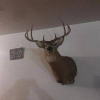 Hillsdale County 94.8 - Acres images 5