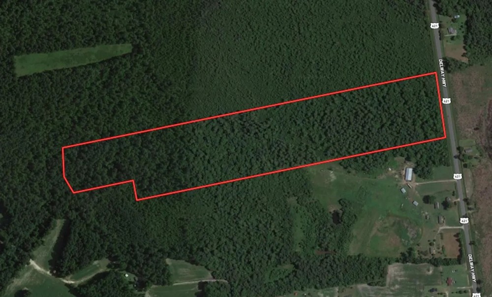 40 - Acres of Timber Land For Sale in Sampson County NC featured image