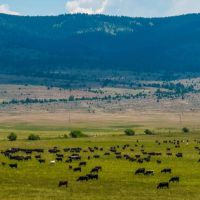 Circle C Ranch images 2