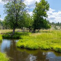 Circle C Ranch images 3