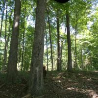 Bowling Green 123 images 3